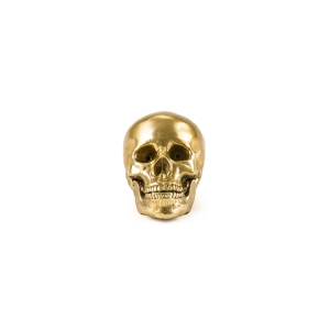 Seletti Wunderkammer aluminum skull