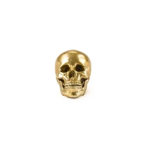 Seletti Wunderkammer aluminum skull