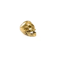 Seletti Wunderkammer aluminum skull