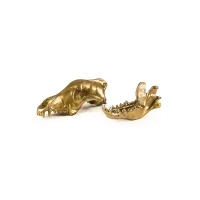Seletti Wunderkammer wolf skull in alluminio