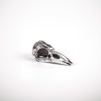 Seletti Wunderkammer bird skull in alluminio