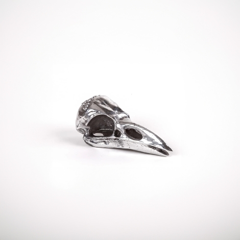 Seletti Wunderkammer bird skull in alluminio