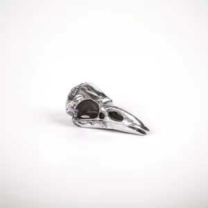 Seletti Wunderkammer bird skull in alluminio