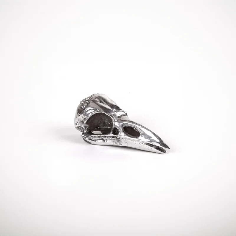Seletti Wunderkammer bird skull in alluminio Seletti Wunderkammer bird skull in alluminio
