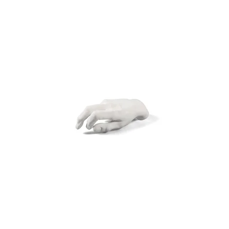 Seletti Memorabilia Mvsevm porcelain hand