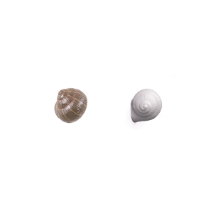 Seletti Mushroom & Snails appendiabiti lumaca