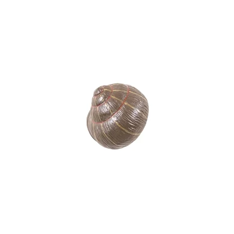 Seletti Mushroom & Snails coat rack snail