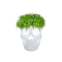 Qeeboo Mexico luminous planter and champagne cooler Qeeboo Mexico luminous planter and champagne cooler