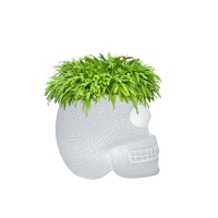 Qeeboo Mexico luminous planter and champagne cooler