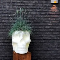 Qeeboo Mexico vaso e portabottiglie