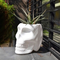 Qeeboo Mexico planter and champagne cooler