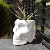 Qeeboo Mexico planter and champagne cooler