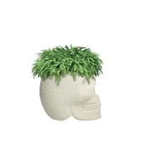 Qeeboo Mexico planter and champagne cooler