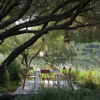 Kartell A.I. Lite chair