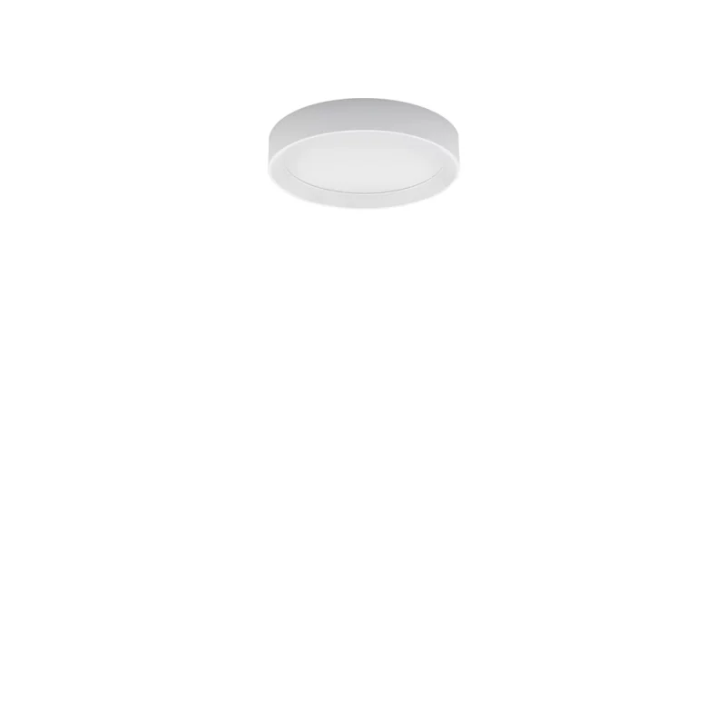 Linea Light Tara r wall and ceiling lamp Linea Light Tara r wall and ceiling lamp