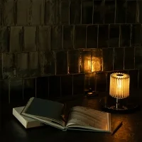 DCW In The Sun 220 table lamp