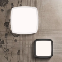 Linea Light Reiki ceiling and wall lamp