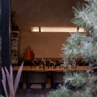 DCW Seagull suspension lamp