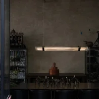 DCW Seagull suspension lamp
