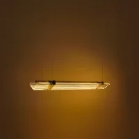 DCW Seagull suspension lamp