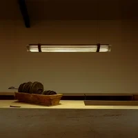 DCW Seagull suspension lamp