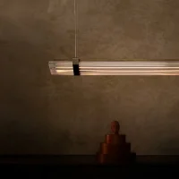 DCW Seagull suspension lamp