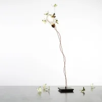 Ingo Maurer I ricchi e poveri Five butterflies lampada da tavolo Edizione Limitata