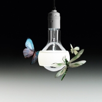 Ingo Maurer Johnny B Butterfly lampada a sospensione