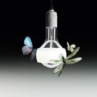 Ingo Maurer Johnny B Butterfly lampada a sospensione