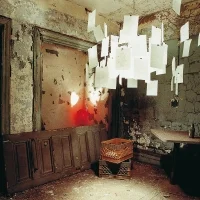 Ingo Maurer Zettel'Z A5 suspension lamp