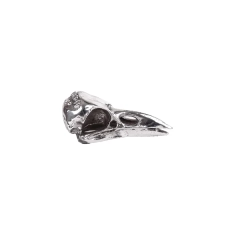 Seletti Wunderkammer bird skull in aluminum