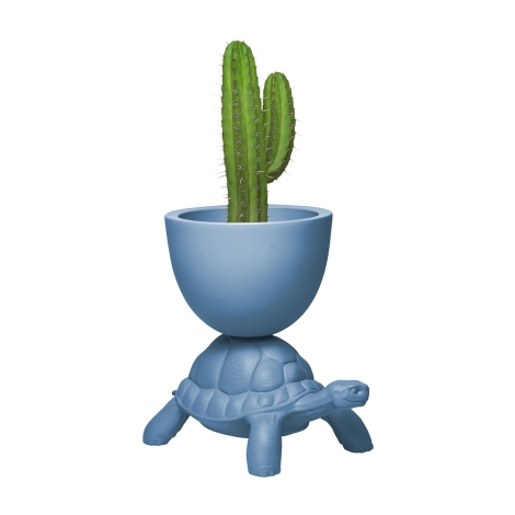 Qeeboo Turtle Carry Planter and Cooler New Colors