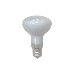 R80 42W E27 satinata...
