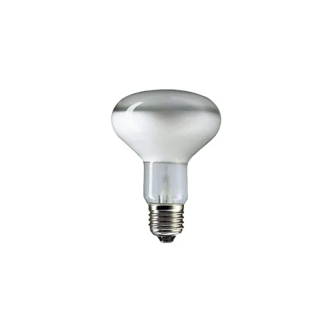 Flos frosted led bulb E27 13W 2700K R80 dimmable
