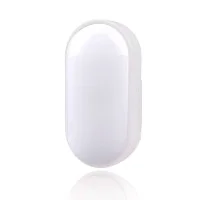 FAI Mini LED Lamp 12W Oval Ceiling or Wall Lamp IP65 Waterproof
