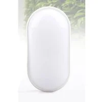 FAI Mini LED Lamp 12W Oval Ceiling or Wall Lamp IP65 Waterproof