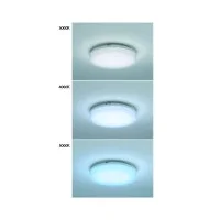 FAI Mini LED Lamp 12W Round Ceiling or Wall Lamp IP65 Waterproof