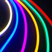 QLT Neon Striscia LED RGB 14,4W 24V Luce Continua IP67 Esterno