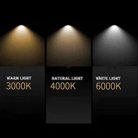 Lampo Faro FLAT da Esterno LED TRICOLORE 50W 3000K/4000K/6000K