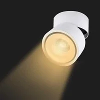 Lampo Lamp 15W LED Adjustable Cylinder Round Ceiling Surface In