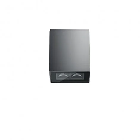 iGuzzini Laser Blade InOut Plafone 2 x LED Da Esterno Lampada