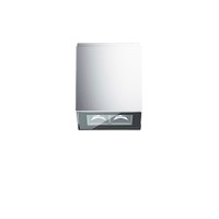 iGuzzini Laser Blade InOut Applique 2 x LED Outdoor Ceiling