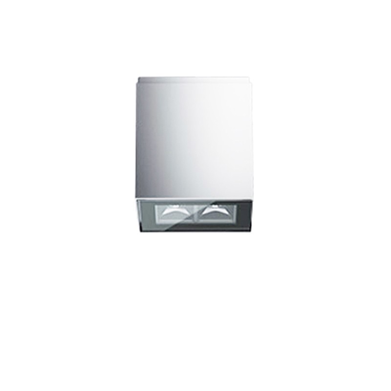 iGuzzini Laser Blade InOut Applique 2 x LED Outdoor Ceiling iGuzzini Laser Blade InOut Applique 2 x LED Outdoor Ceiling