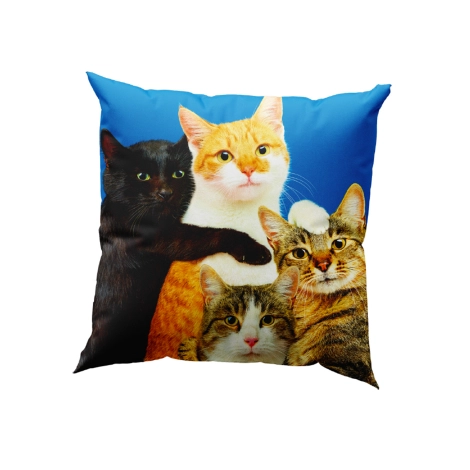 Seletti Toiletpaper Home cushion