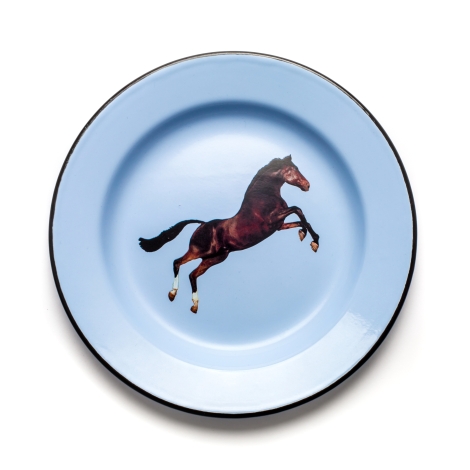 Seletti Toiletpaper Home Enamel plate