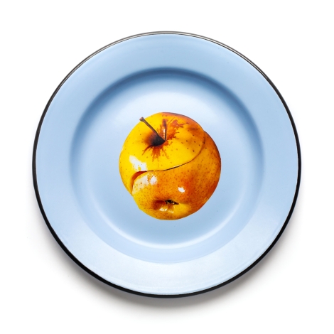 Seletti Toiletpaper Home Enamel plate