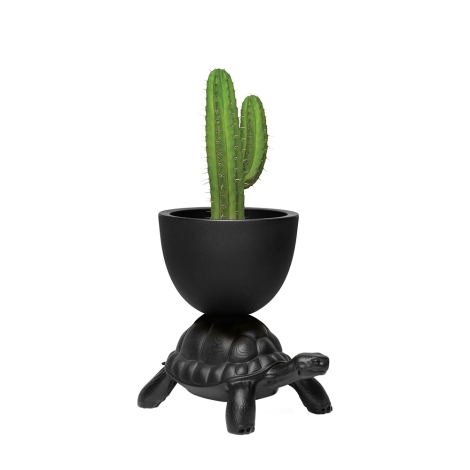 Qeeboo Turtle Carry Planter and Cooler