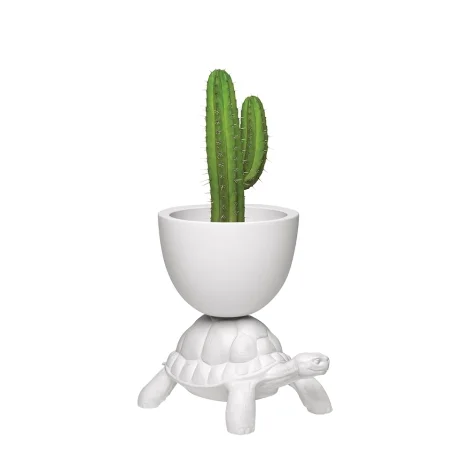 Qeeboo Turtle Carry Planter and Cooler