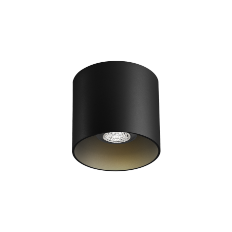 Wever & Ducrè Ray 1.0 PAR16 ceiling lamp