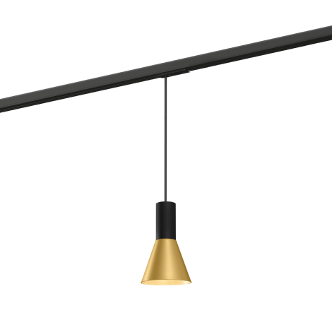 Wever & Ducrè Odrey On Track 1.3 PAR16 track pendant lamp